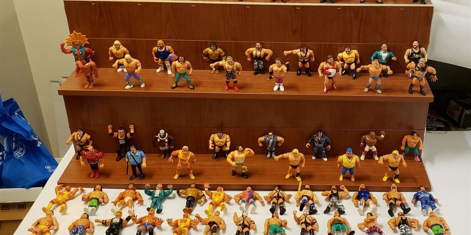 Auction Alert! WWF & WWE Hasbro Action Figures For Sale